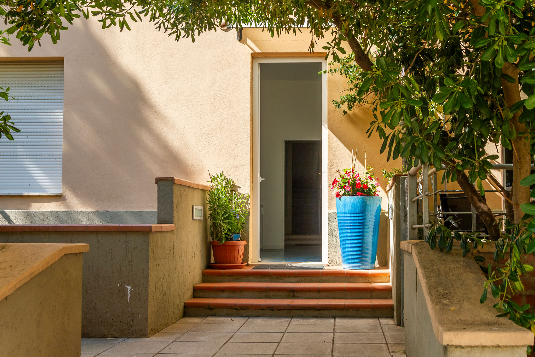 Ingresso con vaso blu